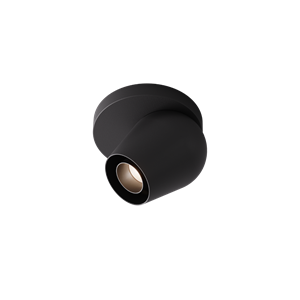 Intra Lighting Pixy C/W Spot Matt Black