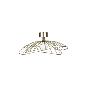 Globen Lighting Ray Wall/ Ceiling Light Brushed Brass