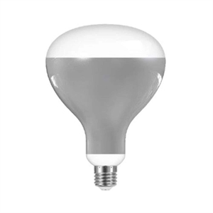 Flos LED Bulb 13W E27 220-240V 2700K R125