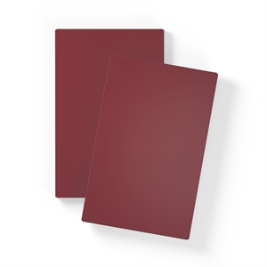 Department Shelf for Store Cabinet with 1 Door Set of 2 Bordeaux