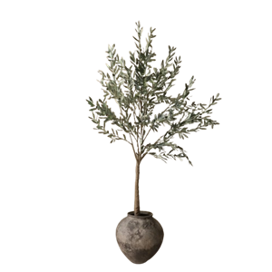 Botané Olive Wood Green
