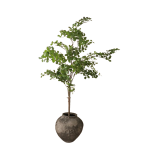 Botané Tropical Almond Wood Green