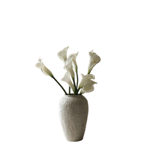 Botané Calla Lily Bouquet White