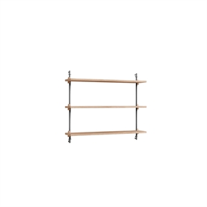 Moebe Wall Shelving WS.65.1 Oak/Stainless Steel